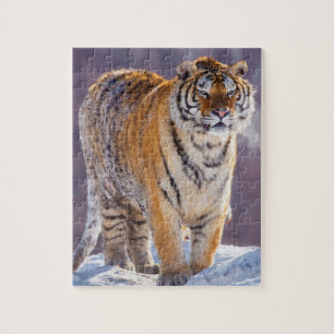 Puzzle Tigre de Sibérie dans la neige, Chine