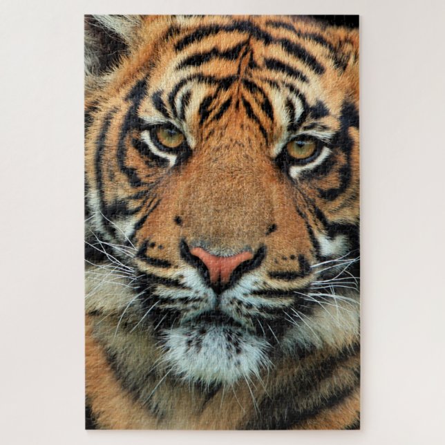 Puzzle Tigre - Face - (Vertical)