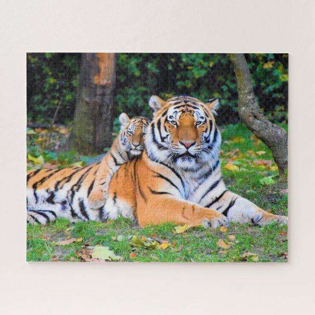 Puzzle Tigre & Poing bébé magnifiquement dans l'herbe ens (Horizontal)