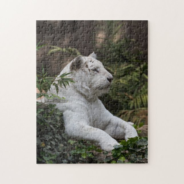 Puzzle Tigre Sibérien Blanc (Vertical)