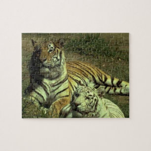 Puzzle Tigres Hommes Et Femmes