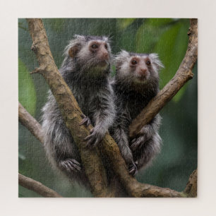 Puzzle Tiny Marmoset Titans Parmi les Branches,