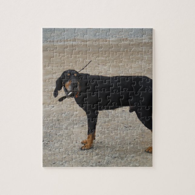 Puzzle Tired Hunting Dog (Vertical)