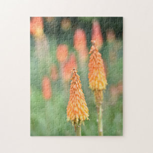 Puzzle Torch Lily Red Hot Poker Flower Nature Photographi