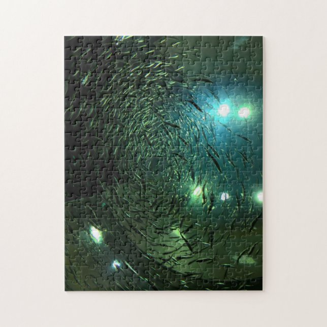 Puzzle Toronto Aquarium Canada. (Vertical)