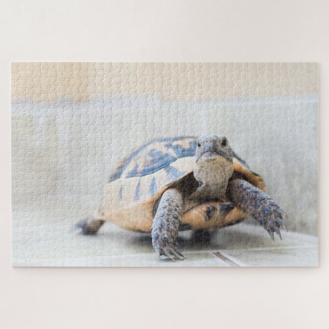 Puzzle Tortue (Horizontal)