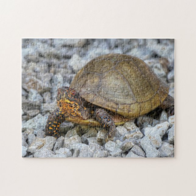Puzzle Tortue (Horizontal)