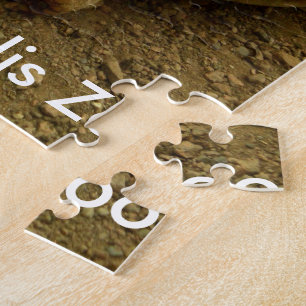 Puzzle Tortue au Zoo d'Indianapolis