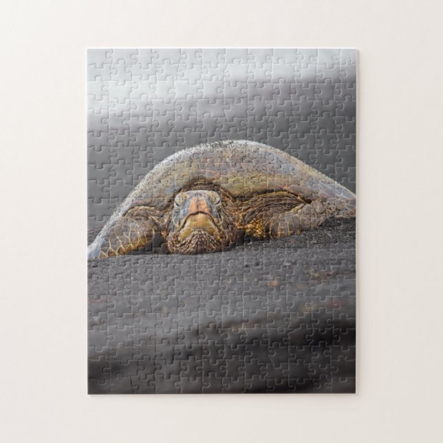 Puzzle Tortue de mer - Plage de sable noir - Hawaii Puzzl (Vertical)