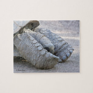 Puzzle Tortue de Sulcata