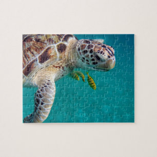 Puzzle Tortue tropicale moderne
