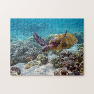 Puzzle Tortue verte