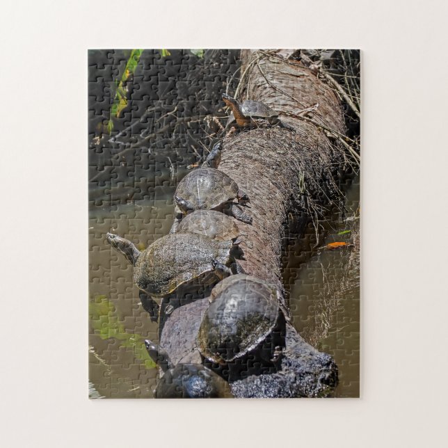 Puzzle Tortues au Parc national de Tortuguero - Costa Ric (Vertical)