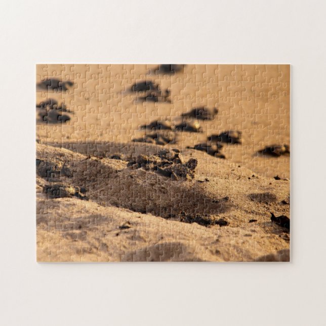 Puzzle Tortues de mer (Horizontal)