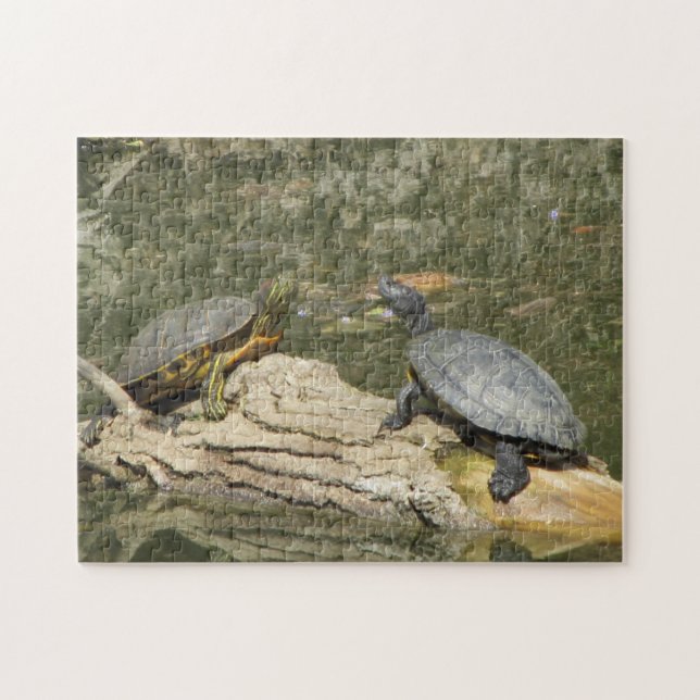 Puzzle Tortues peintes (Horizontal)