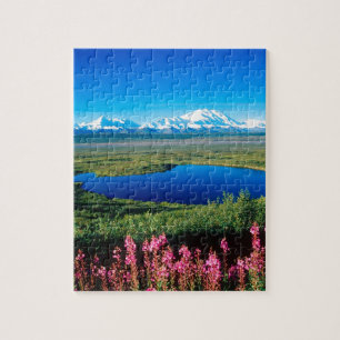 Puzzle Toundra le mont McKinley Denali Alaska de scène