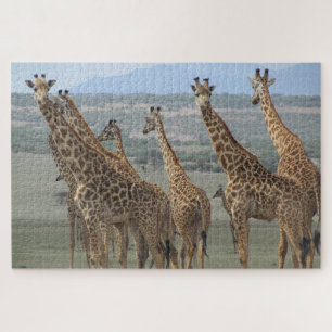 Puzzle tour de la girafe