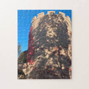 Puzzle Tour du château