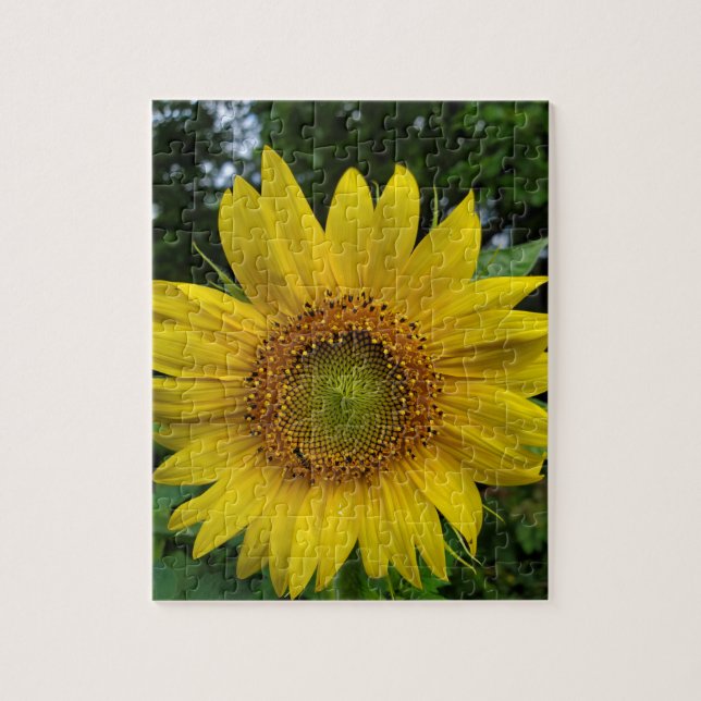 Puzzle Tournesol (Vertical)