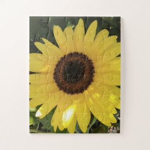 Puzzle tournesol
