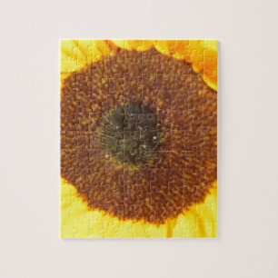 Puzzle Tournesol