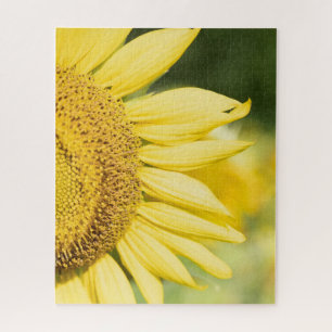 Puzzle Tournesol