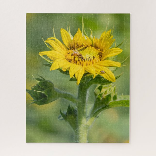 Puzzle tournesol (Vertical)