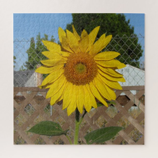 Puzzle - Tournesol contre clôture (Vertical)