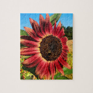 Puzzle Tournesol rouge avec abeille