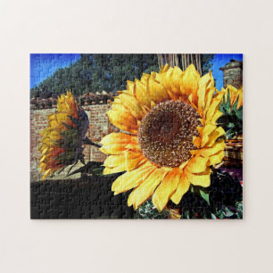 Puzzle Tournesols