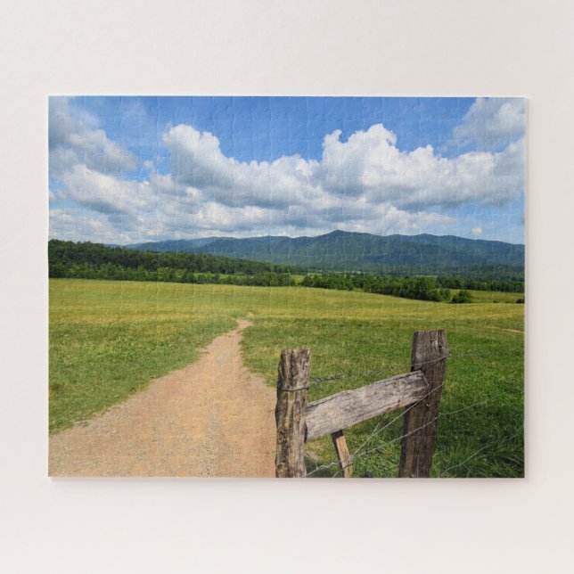 Puzzle Trail dans les montagnes - 16 x 20 (Horizontal)