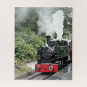 PUZZLE TRAINS À VAPEUR