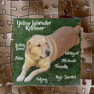 Puzzle Traits de Labrador Retriever Jaune Jeu