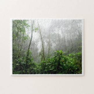 Puzzle Tranquil Rainforest