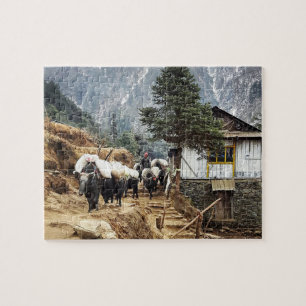 Puzzle Transport de Buffalo, vue sur l'Everest - Népal