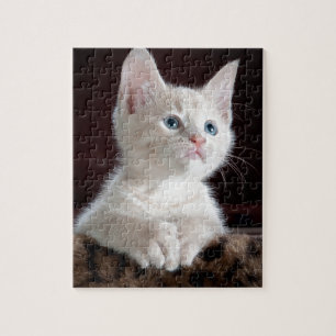 Puzzle Très Mignon Chat Blanc