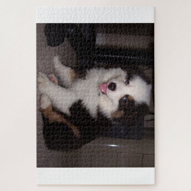 Puzzle tri rouge Chiot mini aussie (Vertical)
