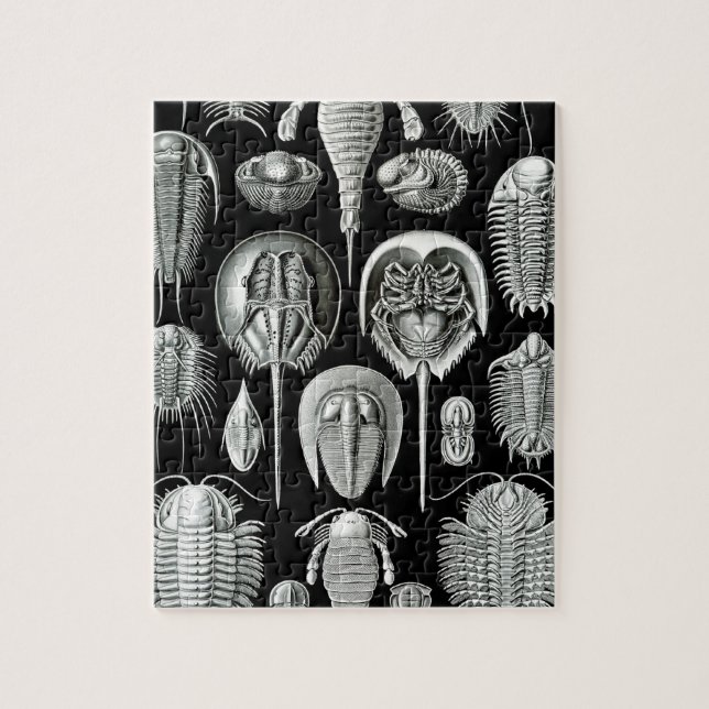 Puzzle Trilobites et fossiles en noir et blanc (Vertical)