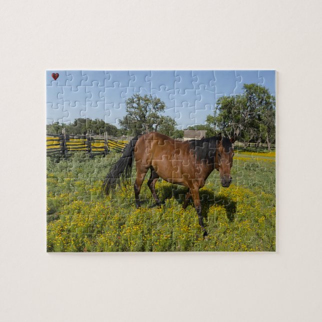 Puzzle Trimestre Horses Texas (Horizontal)