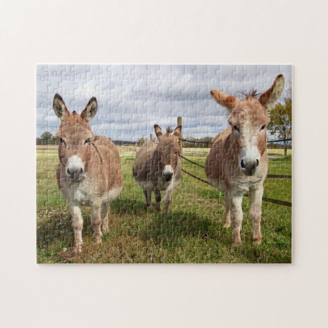 Puzzle Trois ânes (Horizontal)