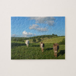 Puzzle Trois ânes dans un domaine