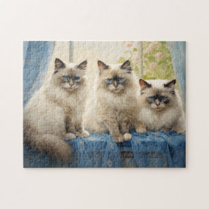 Puzzle Trois chats Ragdoll