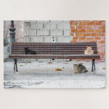 Trois chats sur un banc