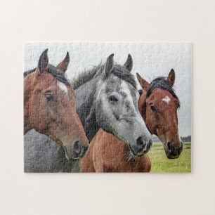 Puzzle Trois chevaux