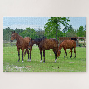 Puzzle Trois chevaux majestueux