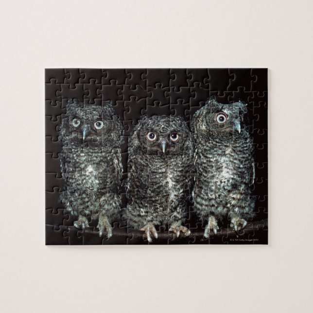 Puzzle trois chouettes (Horizontal)