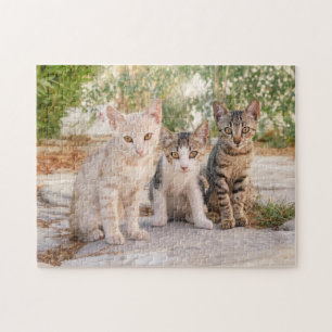Puzzle Trois jeunes chatons chatons chatons s'assoient en