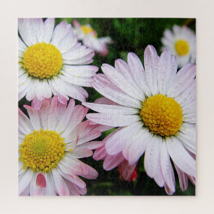 Puzzle Trois mignonnes marguerites roses