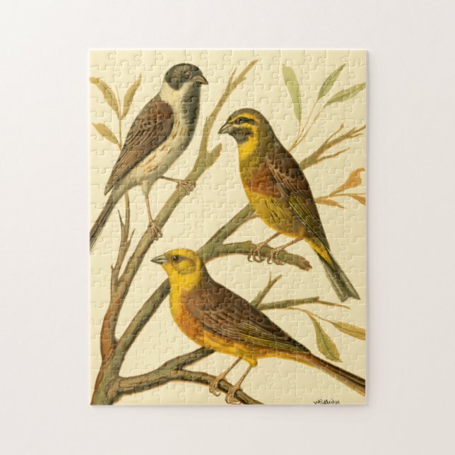 Puzzle Trois oiseaux domestiques perchés sur une branche (Vertical)