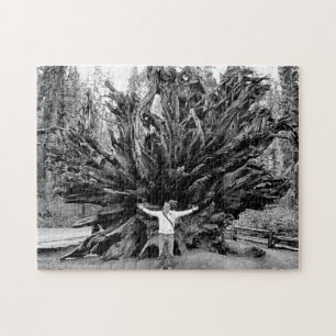 Puzzle Tronc Arbre de Sequioa Large Angle - 11x14 - 252 p